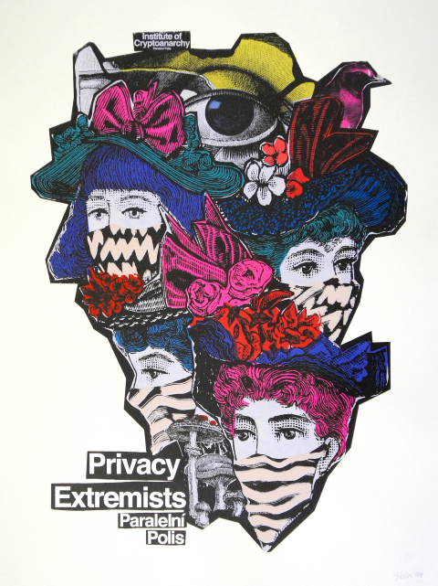                               Privacy Extremists                             
                              