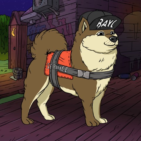Service Dog