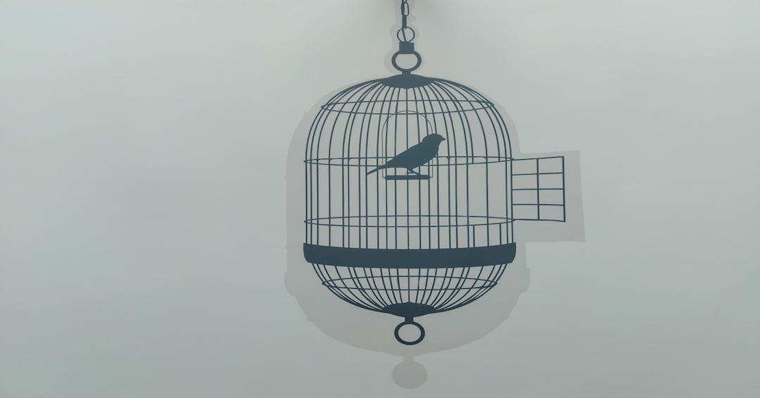                               You Only Need To Cage A Bird If It Knows That It Can Fly                             
                              