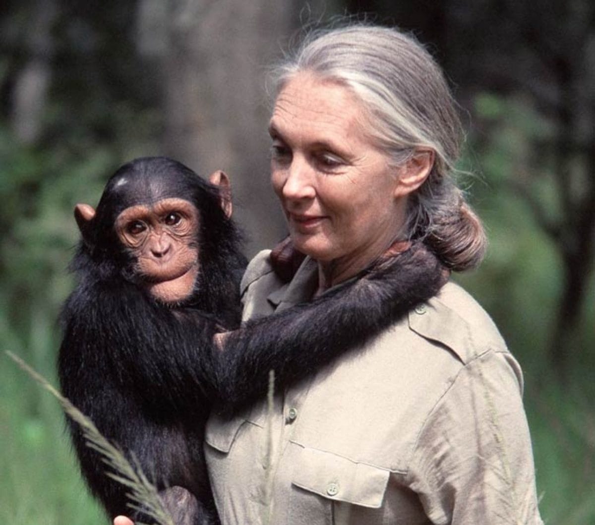 Jane Goodall is the Mother Nature of my time